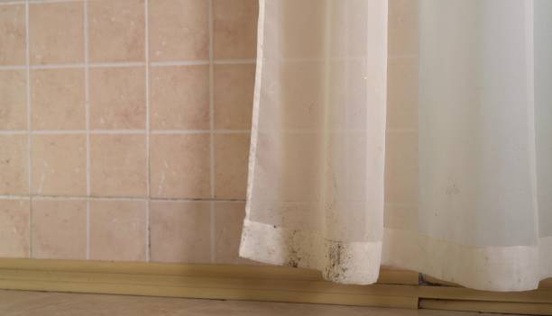 Best Air Quality Testing for Mold Spores  in Roanoke, AL