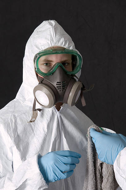 Reliable Roanoke, AL Mold Removal Solutions